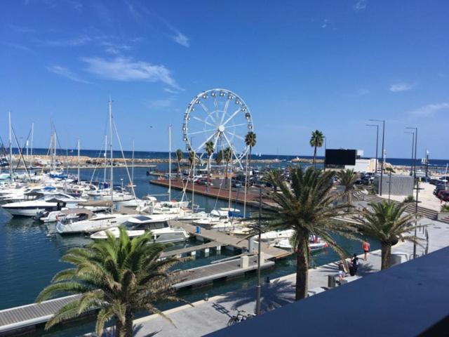 Appartement T2 Au Port De Canet-En-Roussillon - Proche De La Plage Et De L'Aquarium Oniria エクステリア 写真